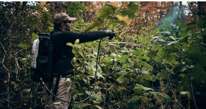 man wearing a camouflage hat, blue long-sleeved shirt and khaki colored slacks, spraying weed killer on plants