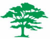 green tree